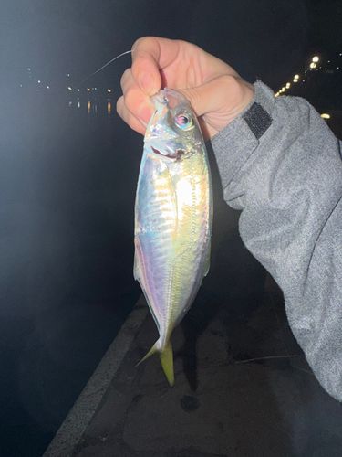 那珂川（福岡）