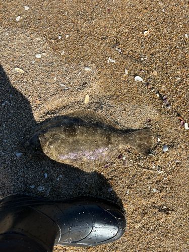 新舞子海岸（いわき）