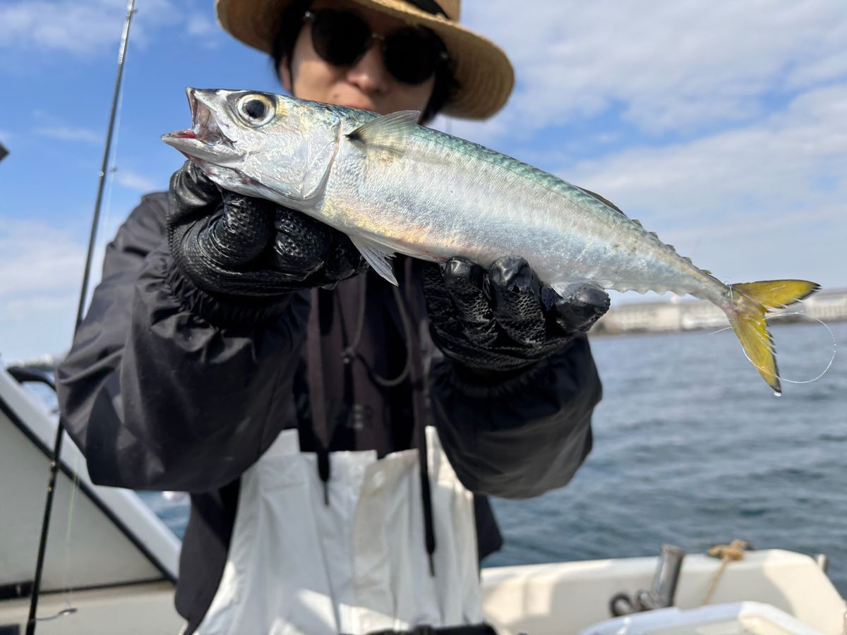 彩鷹さんの釣果 1枚目の画像