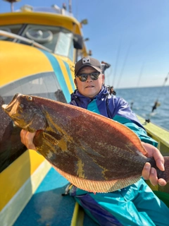 ヒラメの釣果