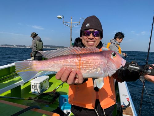 アマダイの釣果