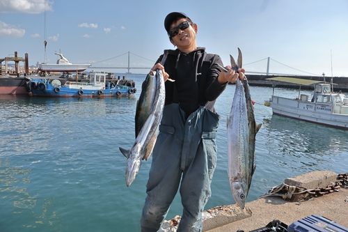 メジロの釣果