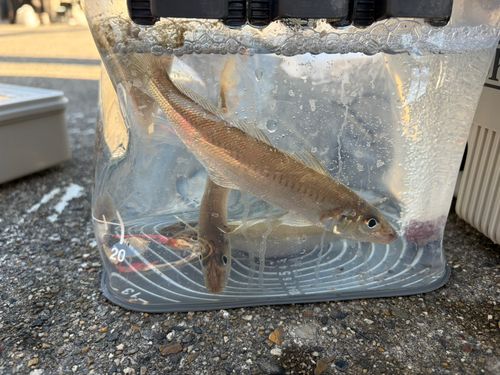 新舞子マリンパーク