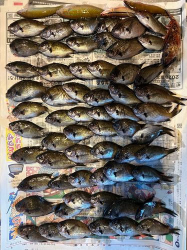 平磯海づり公園