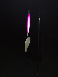 シタビラメの釣果