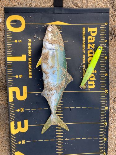 天神川河口（鳥取）