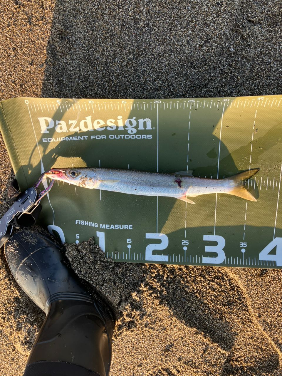 美品 22ネッサXR S110MMH シマノ 22 ネッサ XR S110M/MH (2022年追加モデル) キャスティング