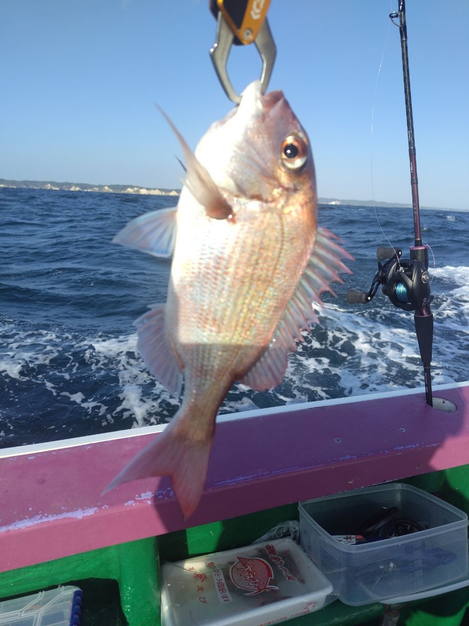 風のふ〜こ丸♂さんの釣果 2枚目の画像
