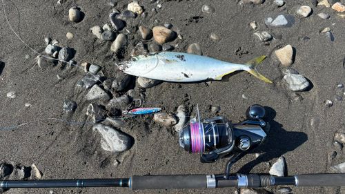 大浜海岸（静岡）