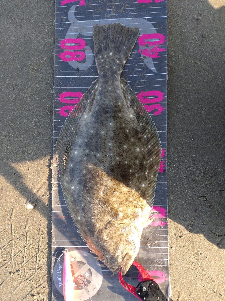 GCRAFT セブンセンスTR モンスターサーフ MSB-1052-TRの最安値