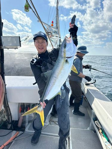 ヒラマサの釣果