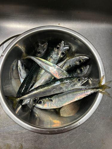 小樽港厩町岸壁