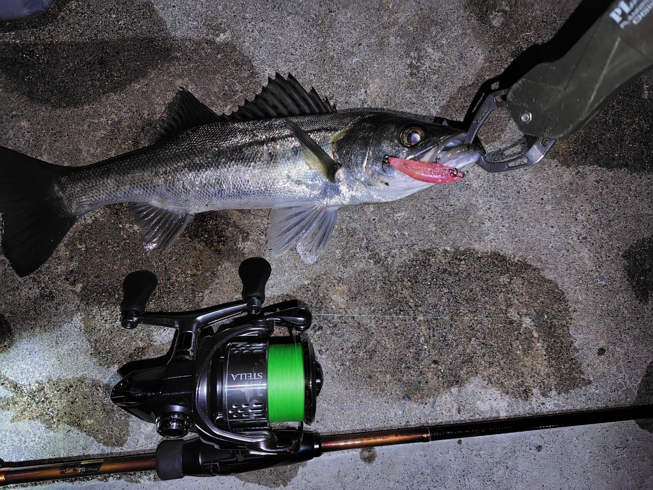 SHIMANO 19ソアレ BB S76UL-Sの最安値・インプレ・釣果 | 本音の口コミ