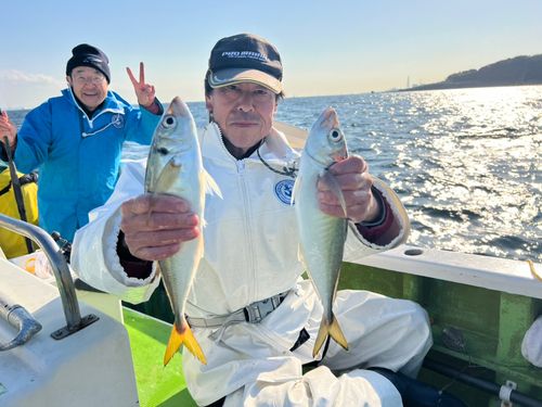 マアジの釣果