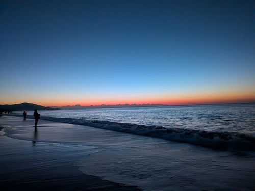 タケノコメバルの釣果