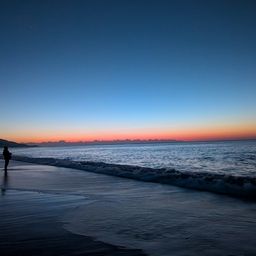 タケノコメバル