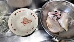 カワハギの釣果