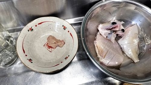 カワハギの釣果