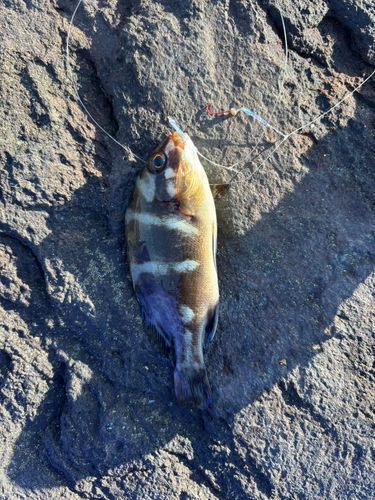 茅ヶ崎ヘッドランド