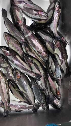 平谷湖のフィッシングスポット