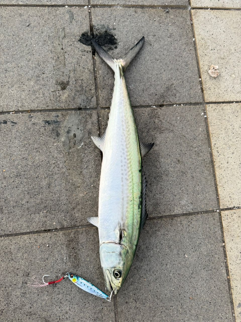 SHIMANO 20ルアーマチック MB S90ML-4の最安値・インプレ・釣果 | 本音