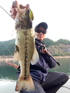 ブラックバスの釣果