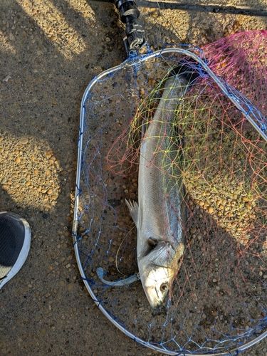 船橋港親水公園