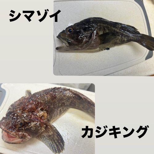 苫小牧東港一本防波堤