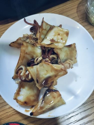 ヤリイカの釣果