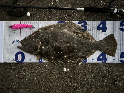 新舞子海岸（富津）