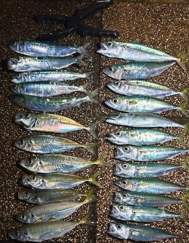 小名浜港アクアマリンふくしま周辺