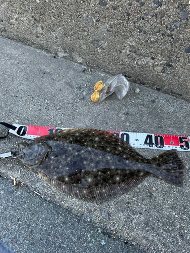 雲出川古川河口