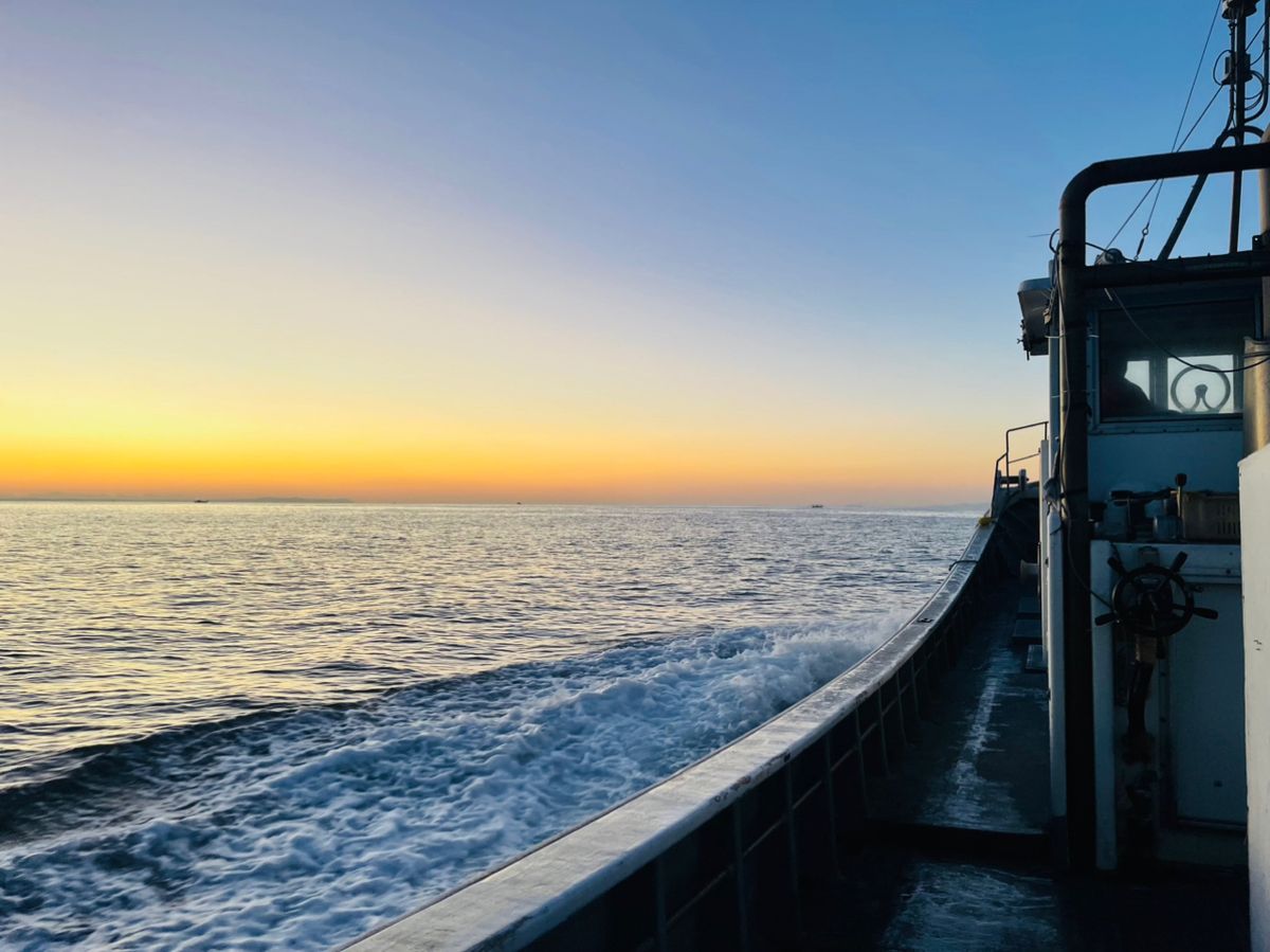 たかちゃん★•́ω•̀)?さんの釣果 2枚目の画像