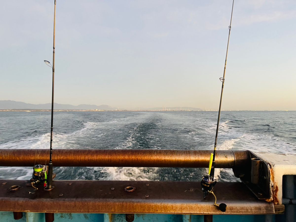 たかちゃん★•́ω•̀)?さんの釣果 3枚目の画像
