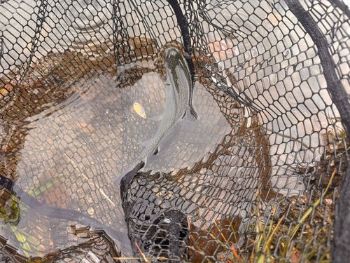 フィッシングエリアほのぼの