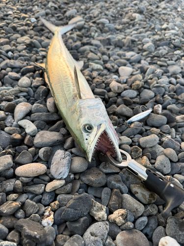 大浜海岸（静岡）