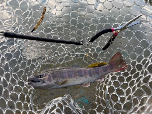 白馬八方ニレ池フィッシングセンター