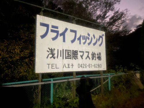 レインボートラウトの釣果