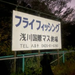 レインボートラウト