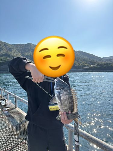 とっとパーク小島