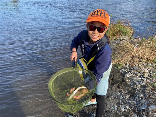 桂川（山中湖〜相模湖）下流