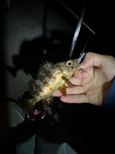 ベイサイドビーチ坂