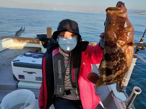 キジハタの釣果