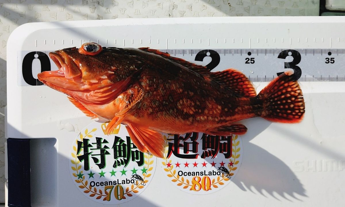 Makiブイさんの釣果 2枚目の画像