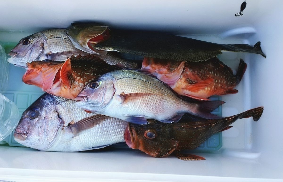 Makiブイさんの釣果 3枚目の画像