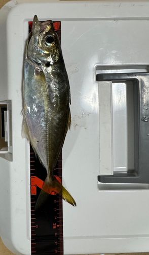 大黒ふ頭西緑地