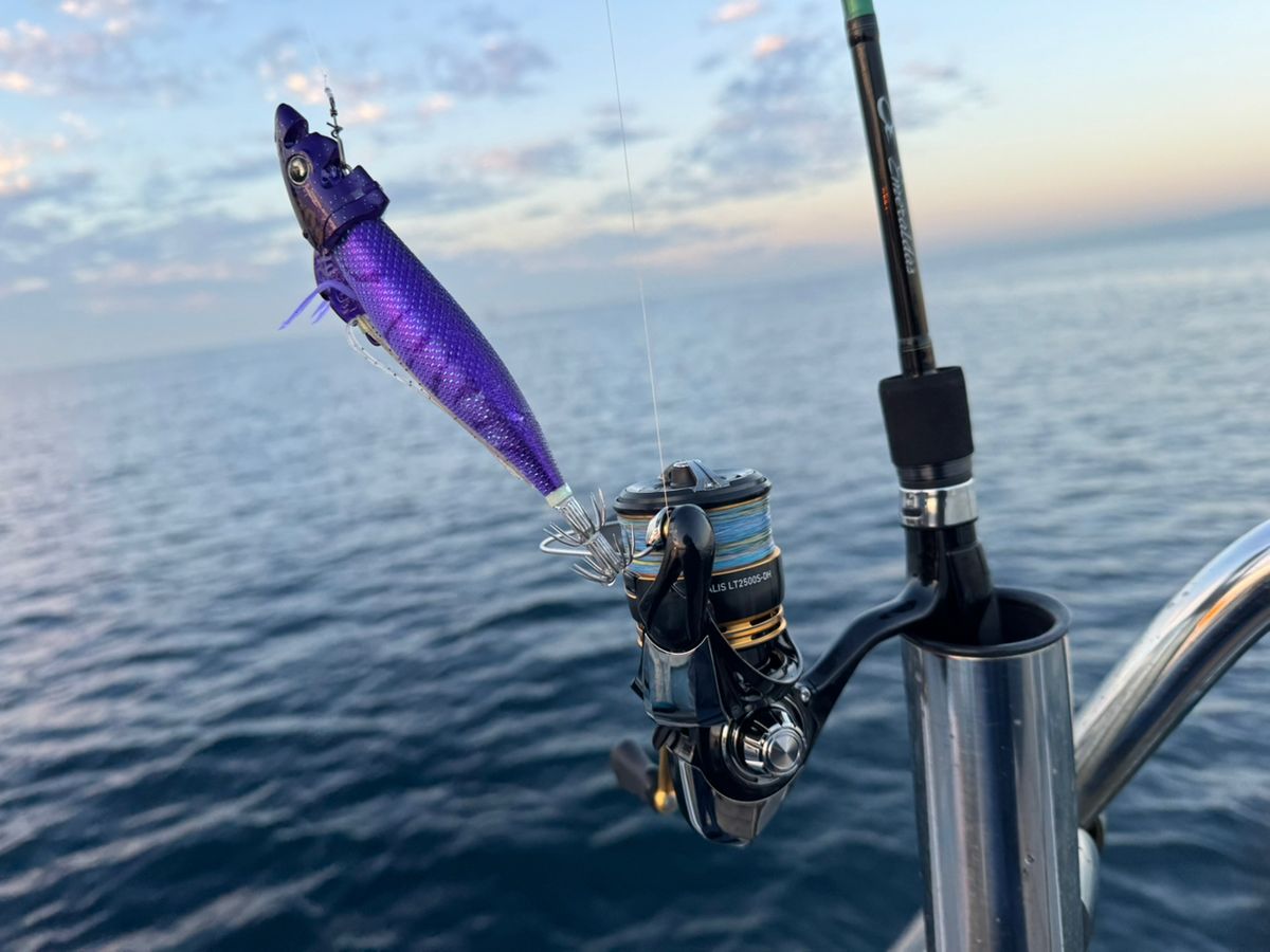 彩鷹さんの釣果 2枚目の画像