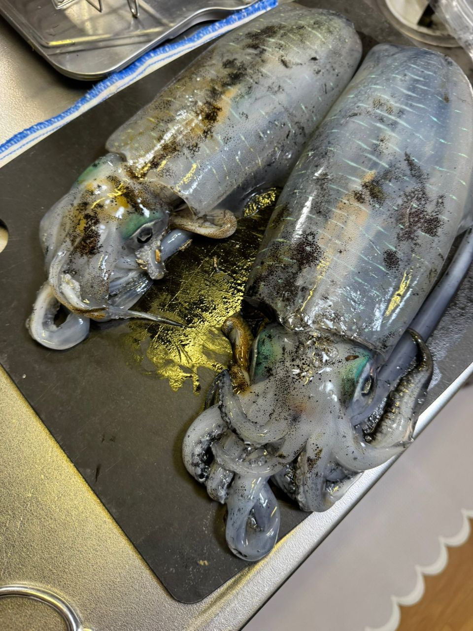 彩鷹さんの釣果 2枚目の画像