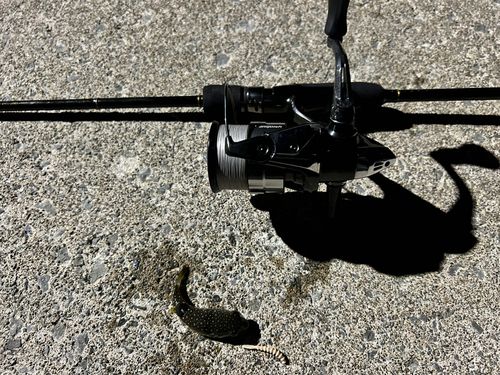 小湊漁港（青森）