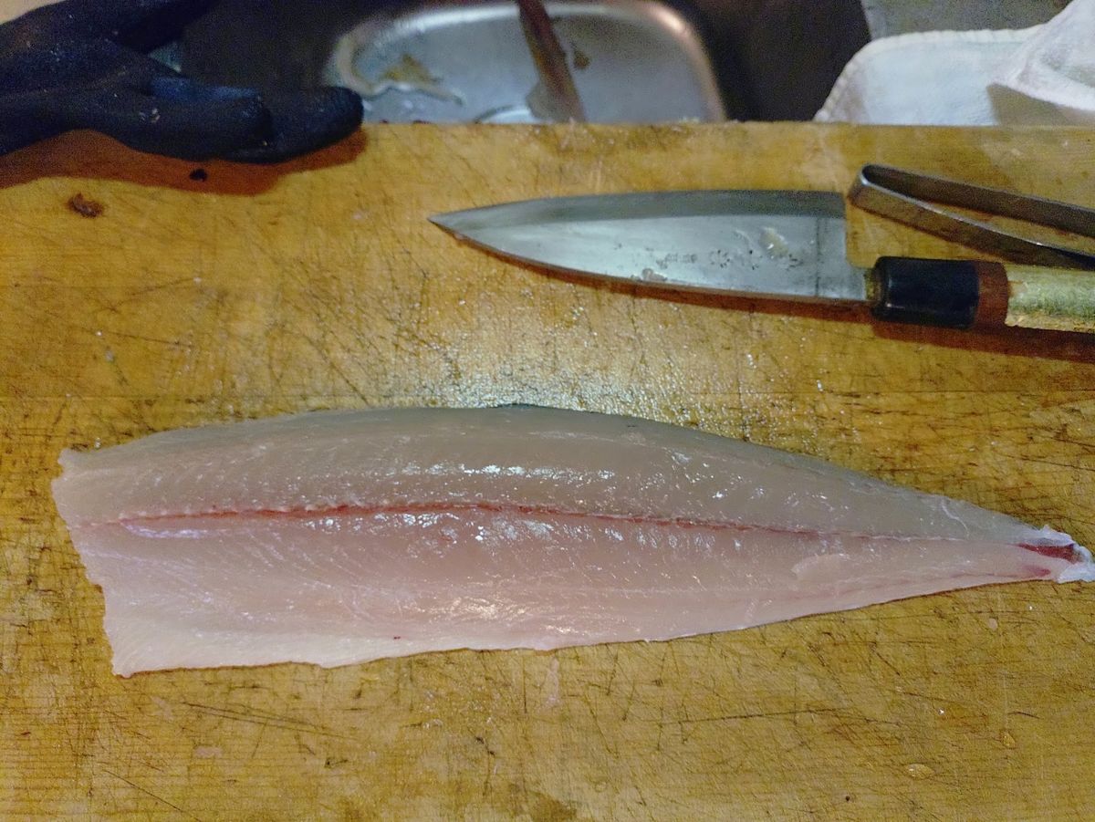 Devilrayさんの釣果 2枚目の画像